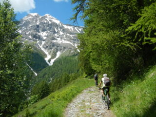 lo sterrato che sale al Monte Chaberton