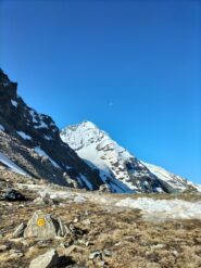 La Grivola dal colle