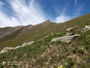 Verso il Crabun, tutto pulito