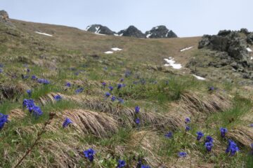 Rocca del forno in avvicinamento