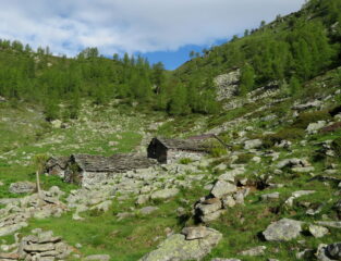 Alpe e Colle Vallone