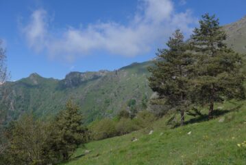 Verso Balmafol