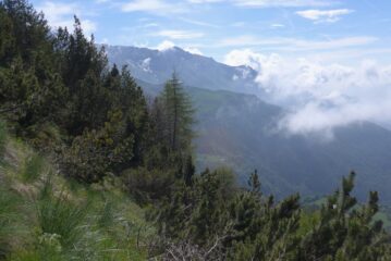 La Patanua