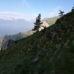 Salendo verso la rocca del Pelvo