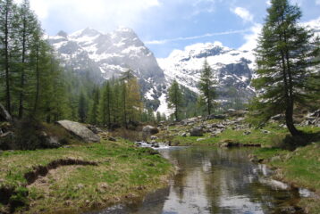 La testata del vallone di Moillaz dai pressi del Giassit di Moillaz