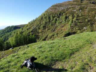 Sentiero per Pian Croesio dalal pista