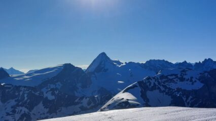 Vista dalla cima (Dent d'Herens)