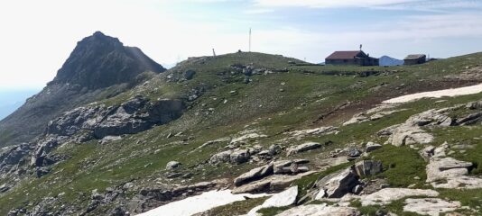 Toasso Bianco e Rifugio
