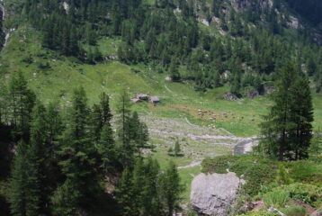 Gli alpeggi di Chavanne nel verde pianoro