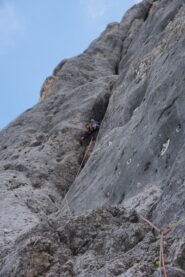 L1 della variante