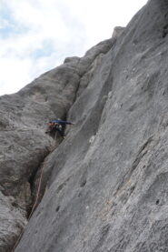 L2 della variante