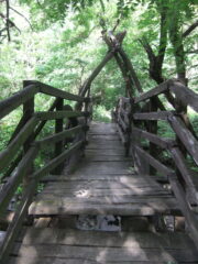 Il ponte di legno