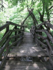 Il ponte di legno