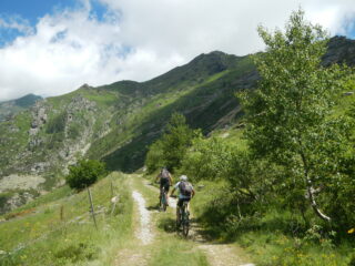 all'altezza di Pra la Comba 1695 m.