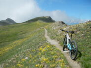 sentiero ed ambiente molto belli