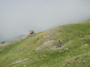 Sentiero dei Cannoni