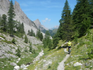 inizio del tratto nel bosco verso gli Chalets des Acles