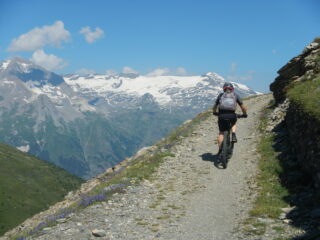 bella vista sul Dome de Chasseforet