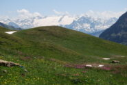 Dal sentiero risalendo verso il Mont Fortin: tutto il Ghiacciaio del Rutor