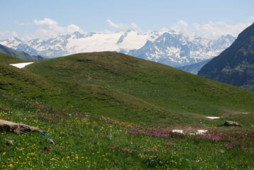 Dal sentiero risalendo verso il Mont Fortin: tutto il Ghiacciaio del Rutor