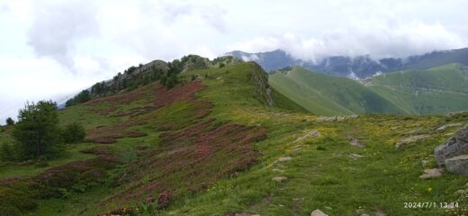 La cresta fiorita x Cima Ventosa 