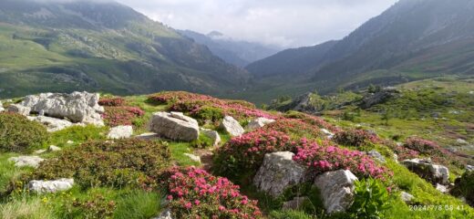 Discesa verso il Lago Raschera 