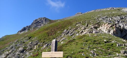 Pendio di salita dal Bocchino della Brignola 