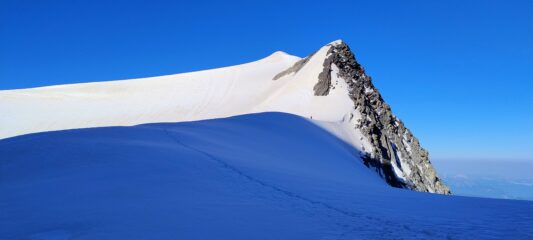 Il piccolo dal Colle