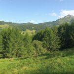 In discesa dal Mortirolo.