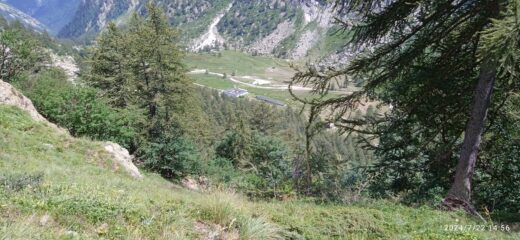 Da li in giù si scende sulla traccia creata dagli asinelli che stazionano in questa zona 