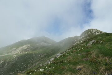 Cresta percorsa su Perascritta