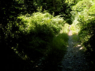Single track 