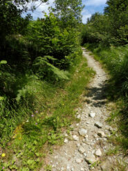 Single track finale