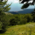 Scendendo verso Alpicella