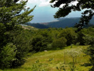 Scendendo verso Alpicella