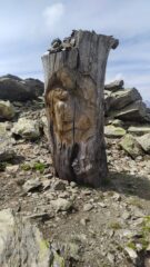 Originale Pietà lignea quasi in cima
