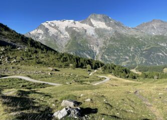 la strada in uscita dal bosco