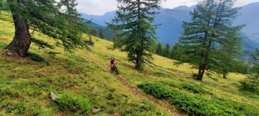 Sentiero per buoni tratti ciclabile 