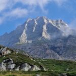 L'attacco in corrispondenza della macchia nera tra terza e quarta costola