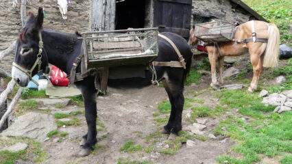 .. un passo indietro nel tempo...