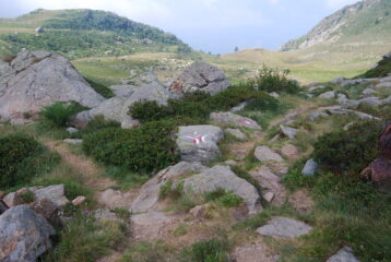 Il bivio sentieri 858-858b nel pianoro erboso passate le Alpi di Brengovecchio