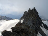 La cresta dal passo del Rosoire, a sx il col de labby