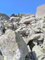 salendo verso la cima