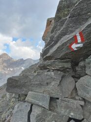 il 