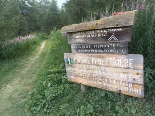 L'inizio del bel sentiero-stradina che si inoltra nel vallone del Chisonetto.