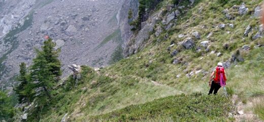 Discesa verso il Vallone di Lourousa dal Passo del Souffi 
