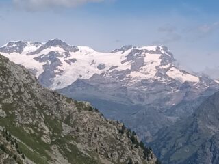 Il Rosa.