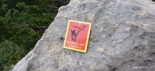 Il logo del Sentiero dei Camosci che si trova sul percorso oltre agli ometti.