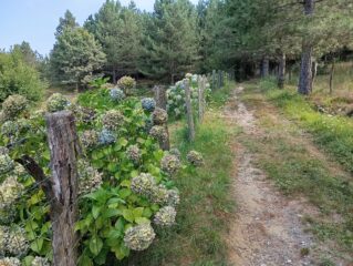 In partenza 