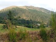 La costa Lavezzara 
